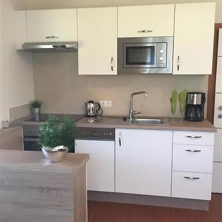 Muehlbacher Apartment